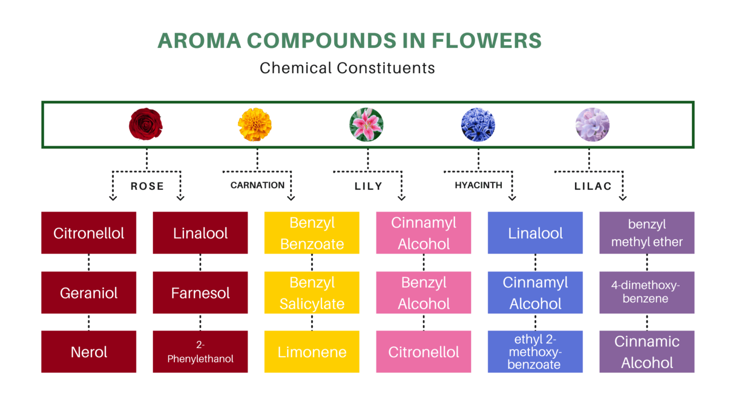 Chemical Constituents of flower allergy in relation to each type of flower graph