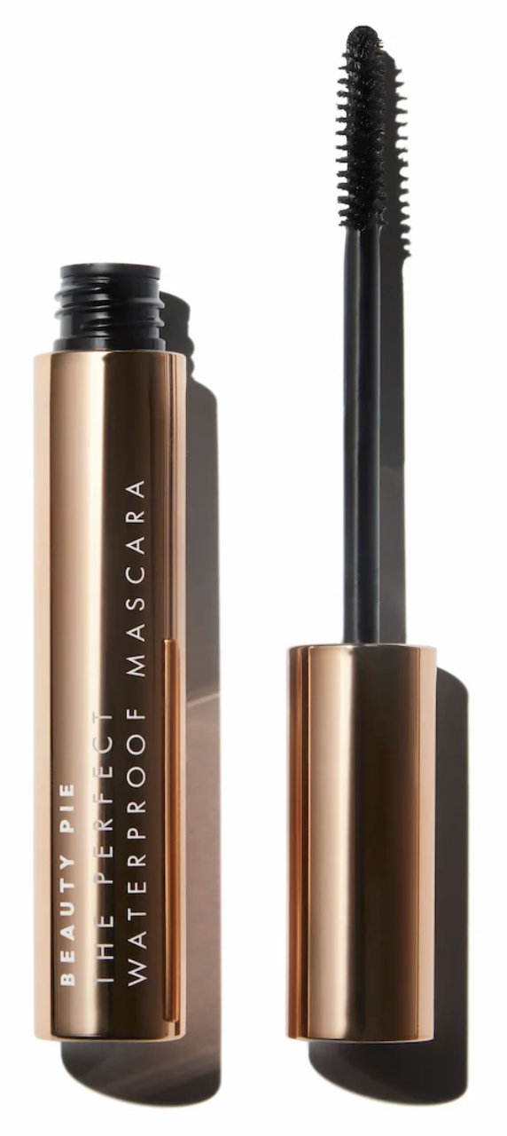 photo of the perfect waterproof mascara in super glossy black 